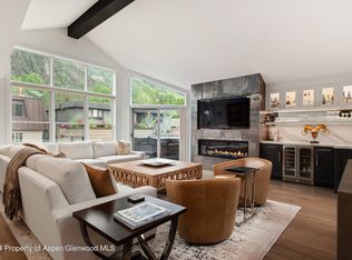 927 E Durant Ave #3, Aspen, CO 81611