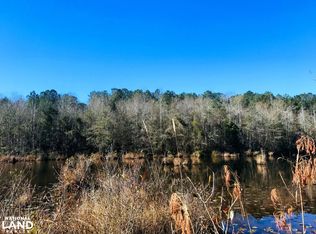 0 Jb Albritton Rd, Ellaville, GA 31806