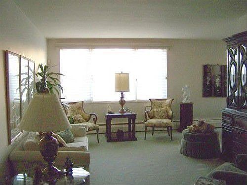 1st image of 290 Atlantic Ave APT 335