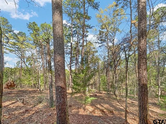 4th image of 0 An County Rd #3193