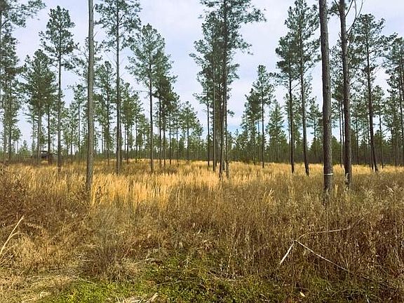 2nd image of TRACT 12 Hughes Lake Rd SE