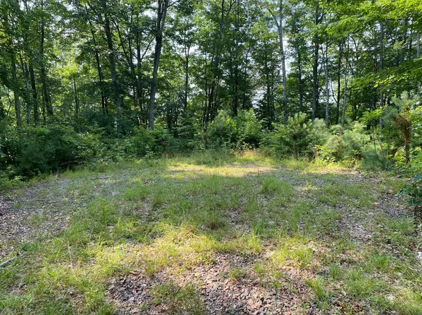 1405 Tamarack Ct, Butler, TN 37640