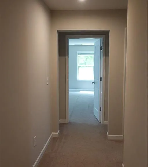 2719 Morgan Spring Trl — Photo 16