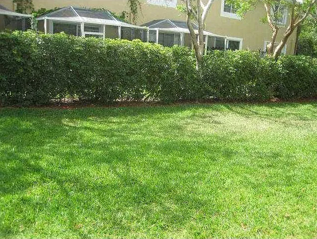 2154 Madeira Dr #2154 — Photo 3