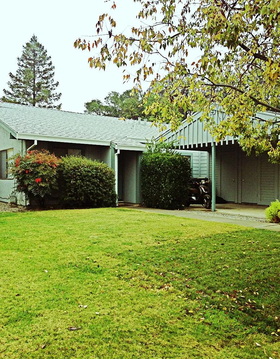3 bed, 1151 sqft, $3,000 — Photo 1