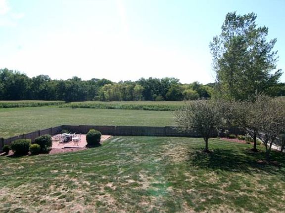 View from Deck