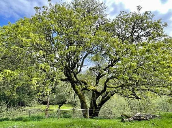 4001 Conklin Creek Rd, Petrolia, CA 95558