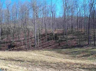 0 Buffalo Rd #7, Buchanan, VA 24066