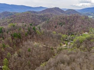 394 & 400 Bishop Hollow Rd, Elizabethton, TN 37643