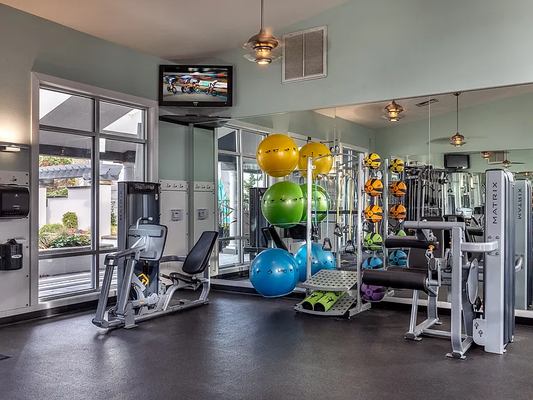 Palladia - Gym
