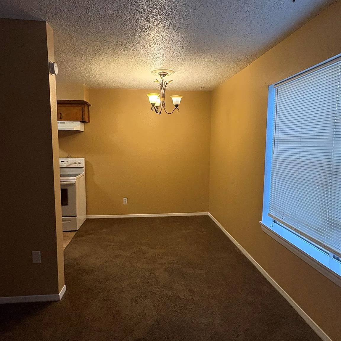 2 bed, 1.0 bath, $750 — Photo 4