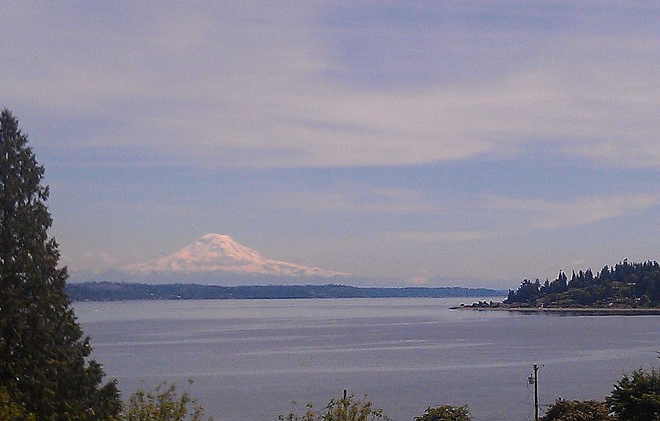 Mt. Rainier