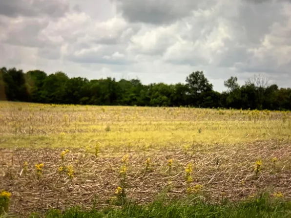 LOT 3 W Shoemaker Rd, Circleville, OH 43113