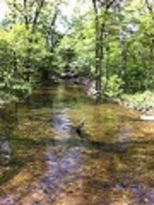 84 Acres Bee Run, Hardy, AR, 72542