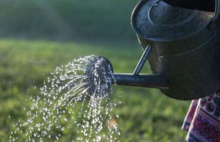 2nd image of Water Right