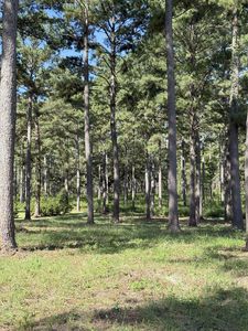LOT-11A Lake Pisgah Dr, Tallahassee, FL, 32309