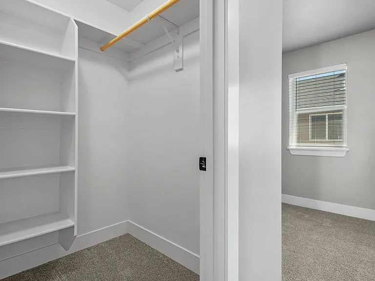 VALO at Olive Plaza Walk-in Closet