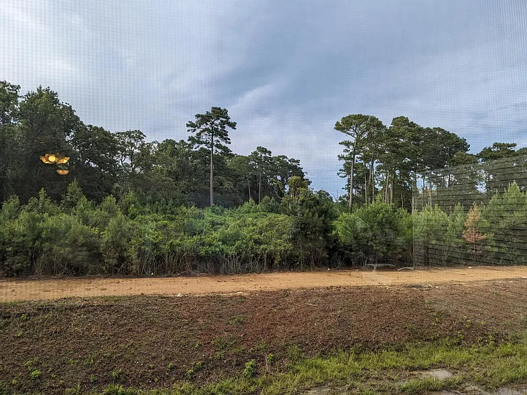 1460 Blue Tree Ct #N — Photo 31