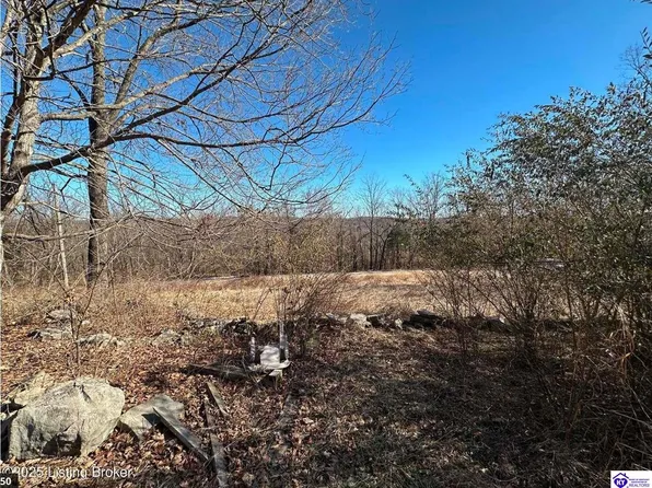 1185 Guston Bewleyville Rd, Irvington, KY 40146