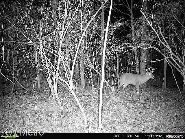 Vl Sister Lake Rd, photo 10