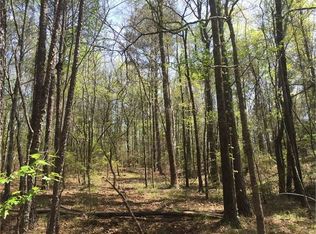 Luke Paschal Rd, Eclectic, AL 36024