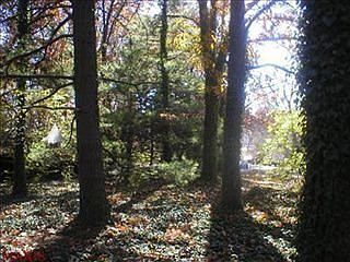 3rd image of 15 Briarbrook Trl