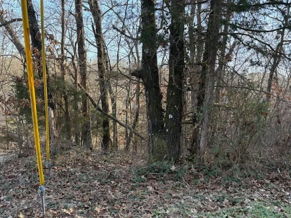 48 Cedar Crest Dr #48, Bella Vista, AR 72714