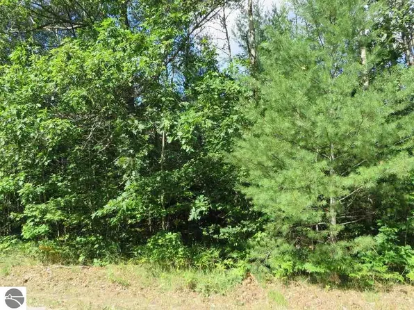 2143 E Log Lake Rd NE, Kalkaska, MI 49646