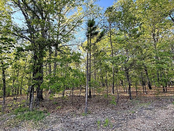 3rd image of 187 Bear Lake Rd