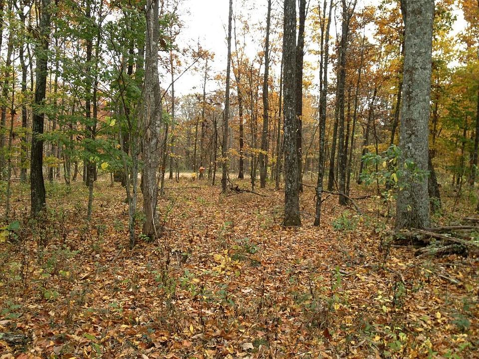 2nd image of 11 Saddletree Ln