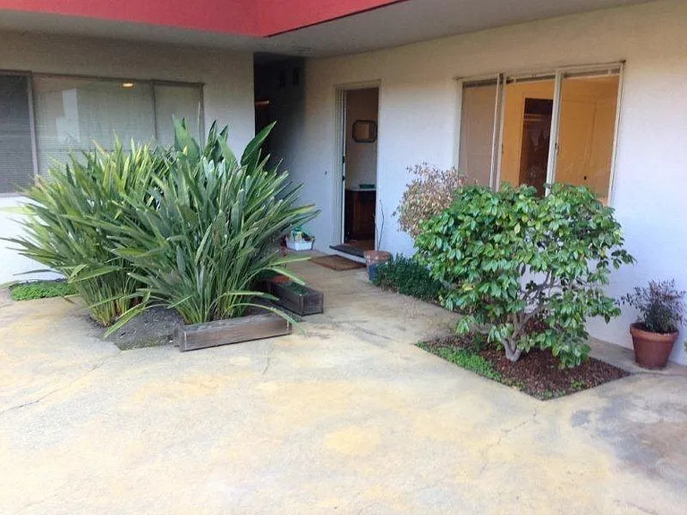 Yard