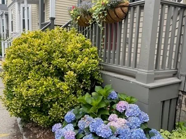 35 White Pl #1, Brookline, MA 02445