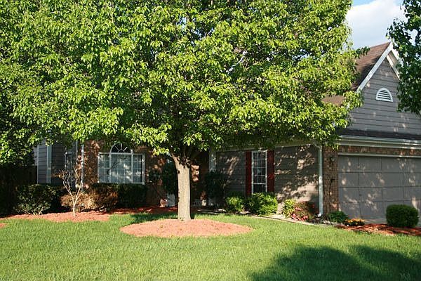 Front Exteriror