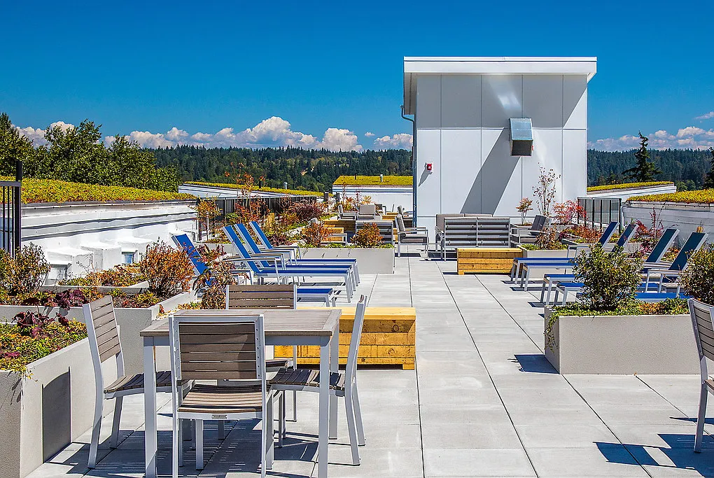 Pure Redmond — Photo 4