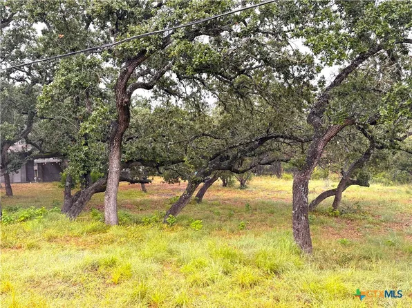 1220 Lakeside Dr E, Canyon Lake, TX 78133