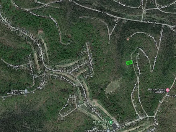 2-3 Thunderbird Dr #4, Eureka Springs, AR 72631