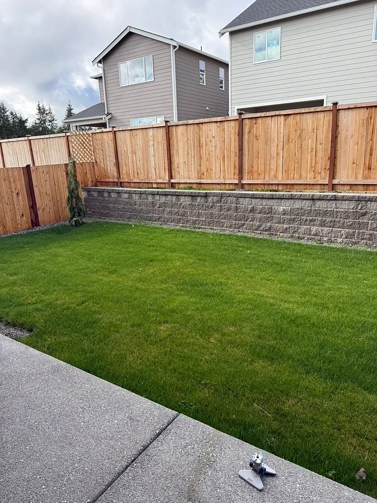 3 bed, 2.5 bath, 1656 sqft, $2,800 — Photo 4