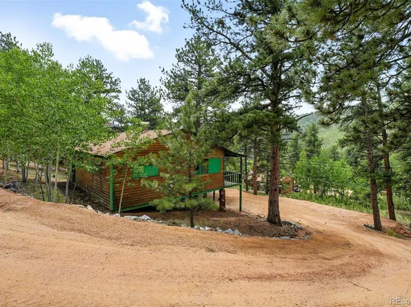 132 Jones Road, Bailey, CO 80421