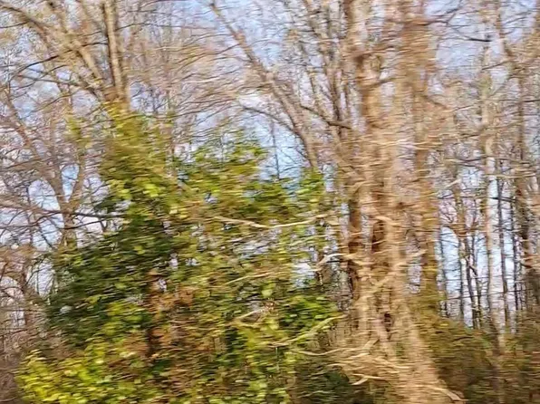 LOT-50A El Scott Ave, Baton Rouge, LA 70811