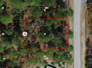6536 N Springfield Ter, Citrus Springs, FL 34434