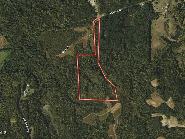 1 Weadon Rd, Blanch, NC 27212