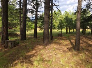 1246 Chief Cir, Heber, AZ 85931