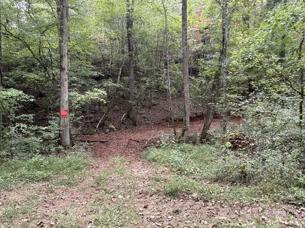 0 County Road 956 Lot 1, Calhoun, TN 37309