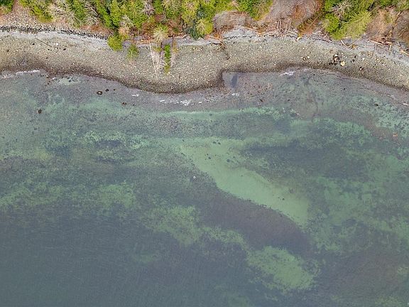 4th image of 5541 Hammond Bay Rd