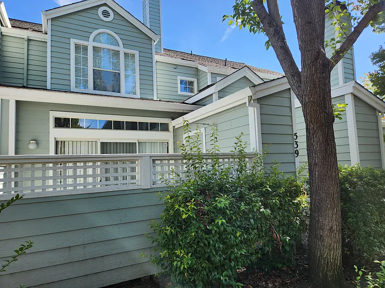 539 Torrey Pine Ln — Photo 3