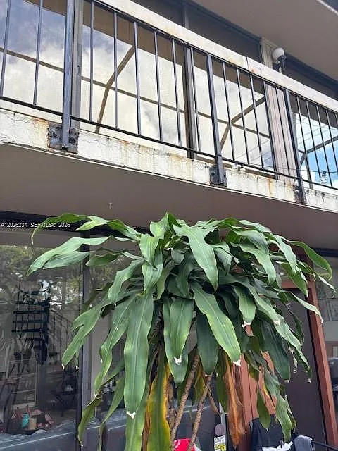 2 bed, 1.0 bath, $4,200 — Photo 3
