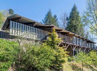 310 Town Mountain Rd, Asheville, NC 28804