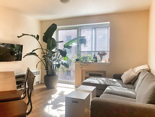 Rented by Jack B Shapiro | media 15