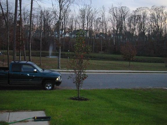 View of th pond across the street