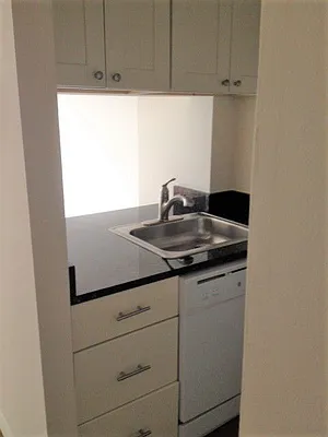 Rented by Starts New York Realty LLC | media 35